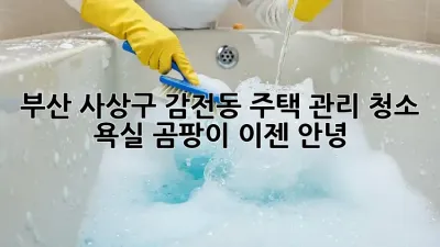 부산 사상구 감전동 주택 관리 청소: 욕실 곰팡이, 이젠 안녕!