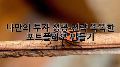 나만의 투자 성공 전략: 똑똑한 포트폴리오 만들기