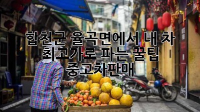 합천군 율곡면에서 내 차 최고가로 파는 꿀팁🍯 #중고차판매