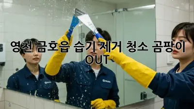 영천 금호읍 습기 제거 청소, 곰팡이 OUT! 🏡✨